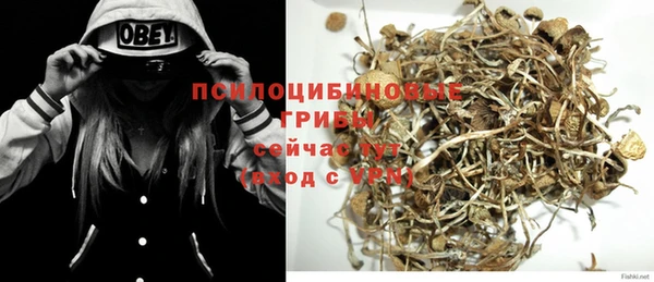 jwh Богородск