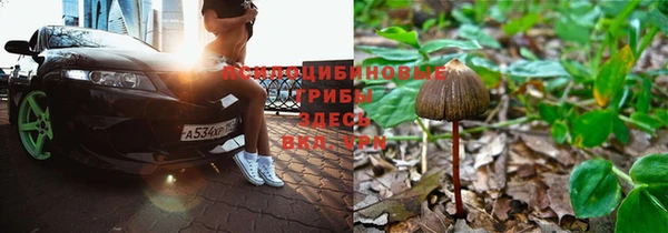 первитин Пролетарск